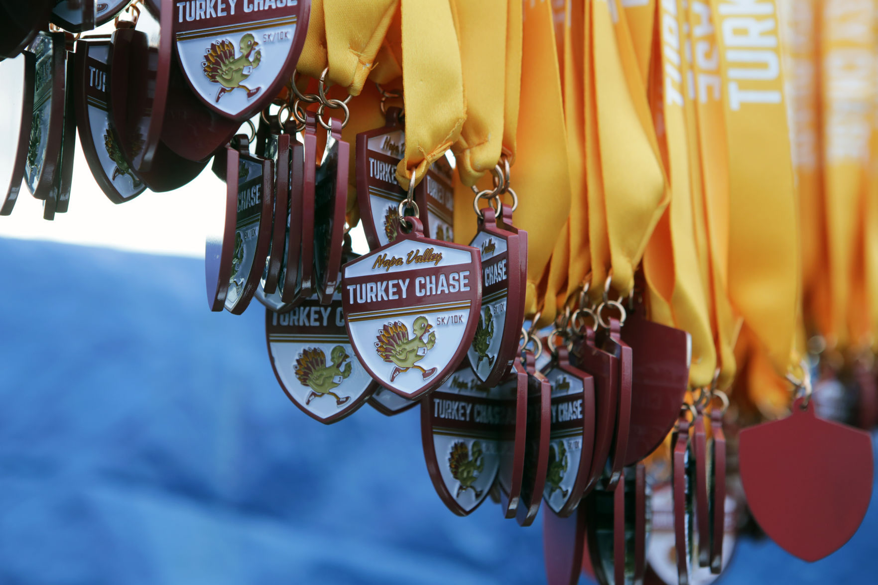Napa Turkey Chase 2017